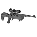 hatsan predator (5.5)