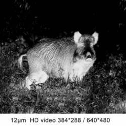 pard ta32-35 thermal vision monocular