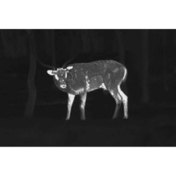 pard leopard thermal monocular le2-11